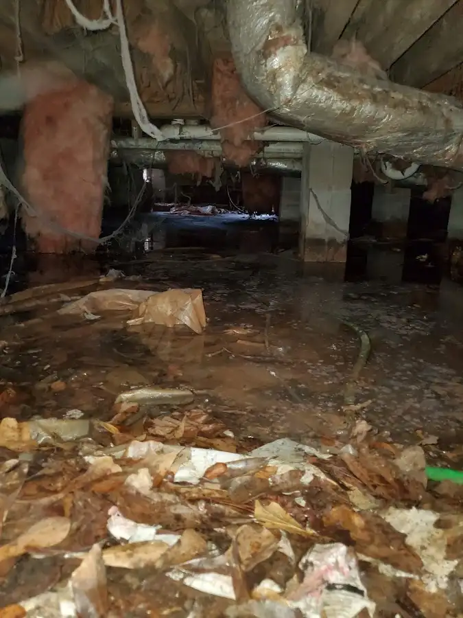 Crawl space flood assessment for Commercial Water Damage Restoration in Holland