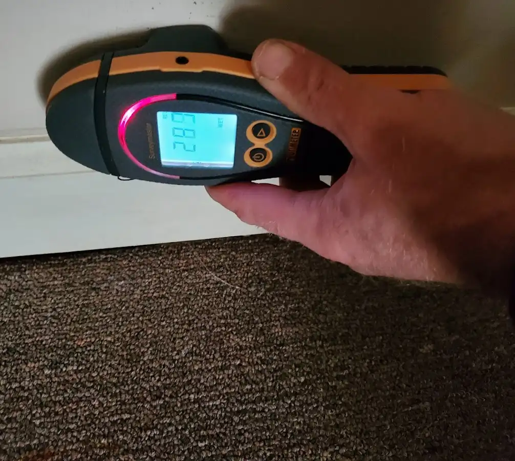 Moisture detection at baseboard during Storm Damage Restoration in Holland